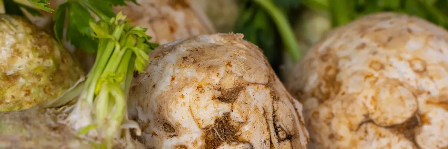 Mieux manger ensemble en 2026 : l’alimentation responsable fort en action