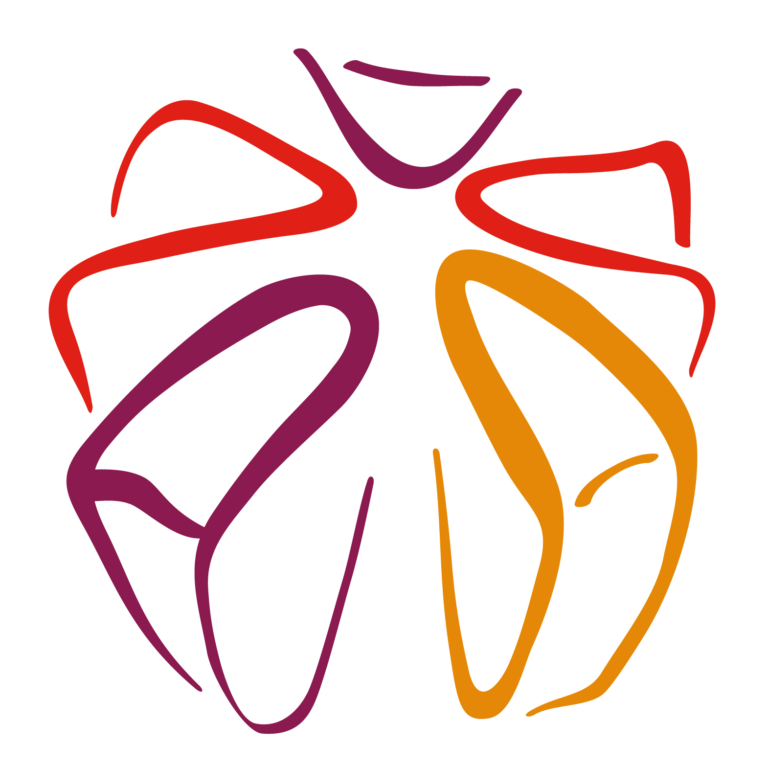 Projets associatifs : Assisa